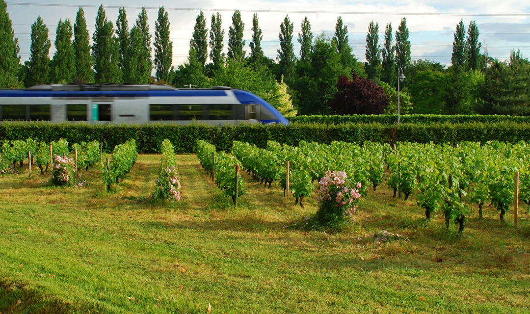 France Travel Update: New air and train routes
