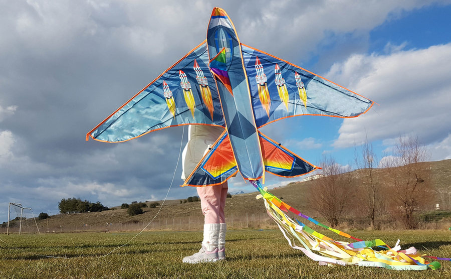 child with a big kite