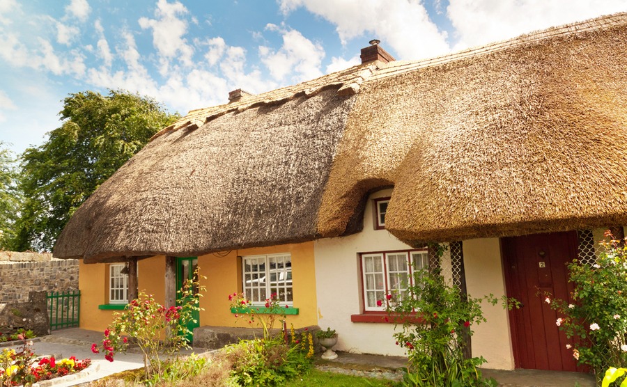 Make sure you take control of the negotiations when making an offer on a house in Ireland.