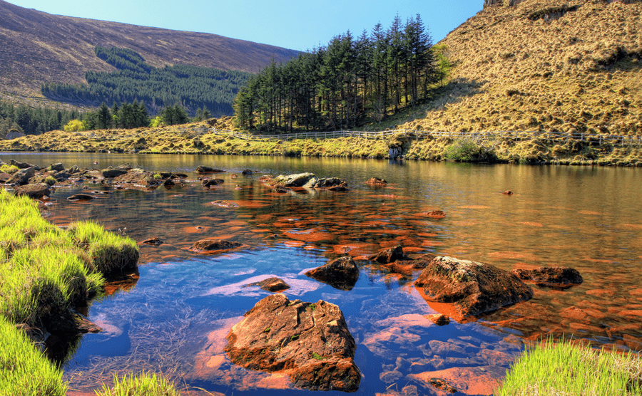 You'll have plenty of time to enjoy yourself in Ireland.