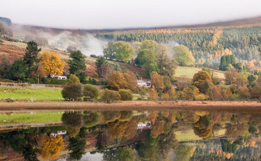 It's easy to see why County Wicklow is called the 'Garden of Ireland'. It's one of the best places to buy a house in Ireland.