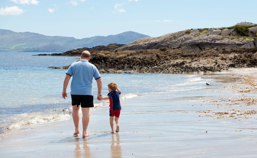 Paternity rights in Ireland