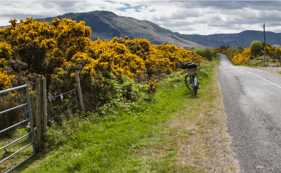 Explore the great outdoors in Ireland.