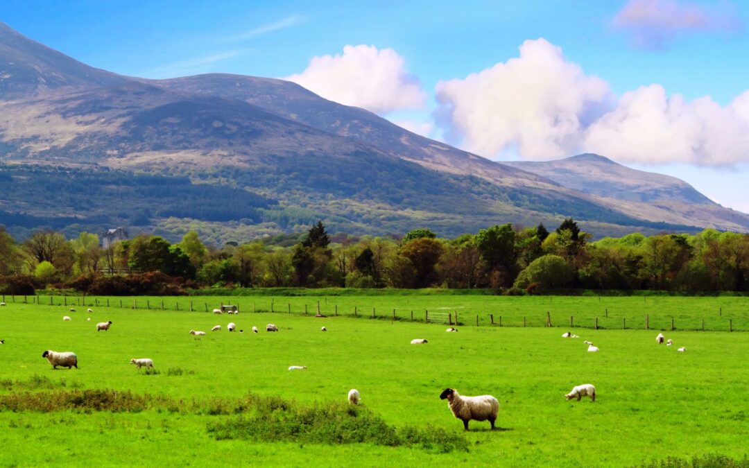 Ireland at Christmas