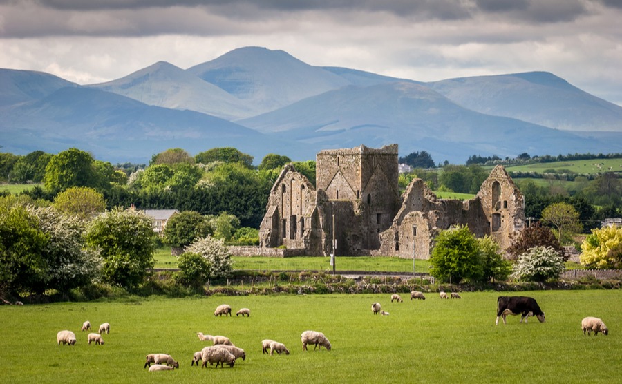 Ireland to move to Phase 2 of reopening plan