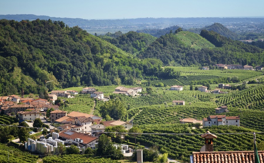 conegliano-valdobbiadene-region-italy-3-aug-2016-region-in-northern-italy-famous-for-its-wineries-producing-original-prosecco-sparkling-white-wine