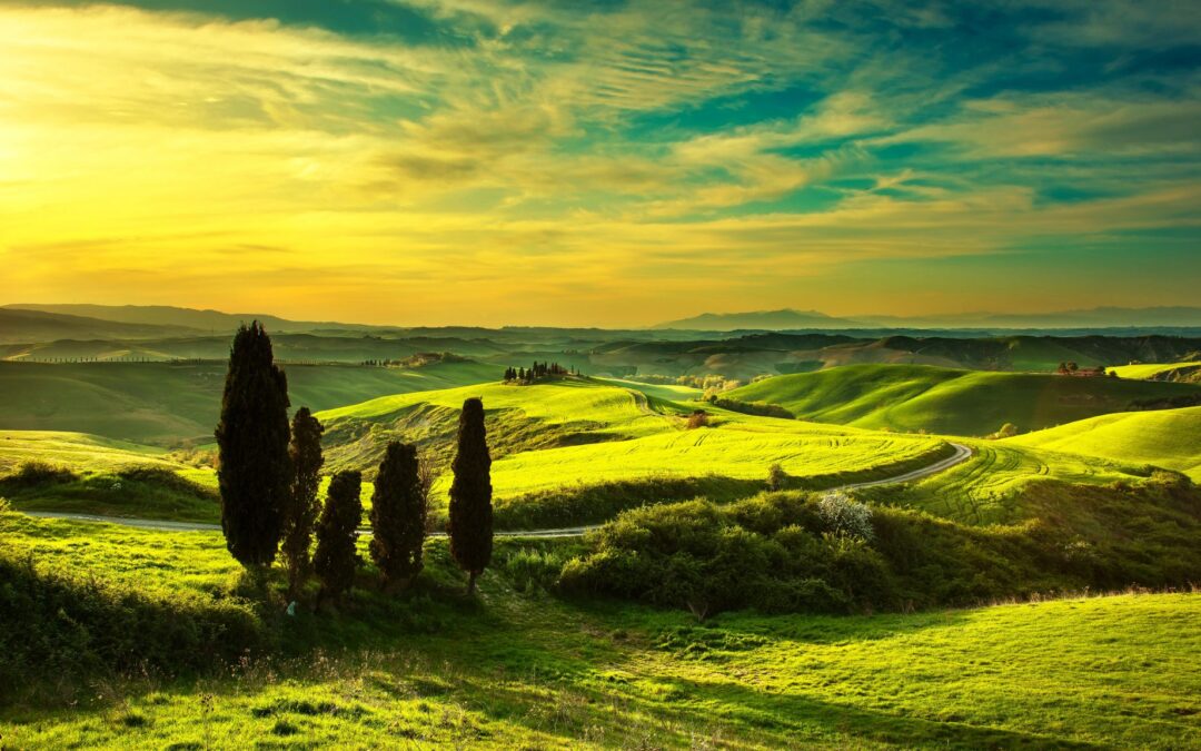 Help! My dream Italian home comes with 400 olive trees