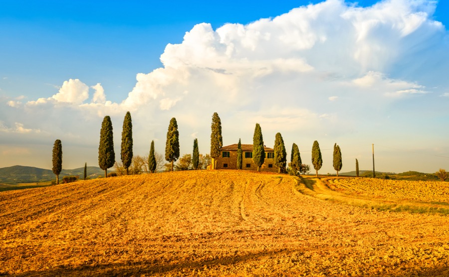 As in previous years, we expect to see a lot of interest from overseas buyers in the rural Italian property market in 2019.