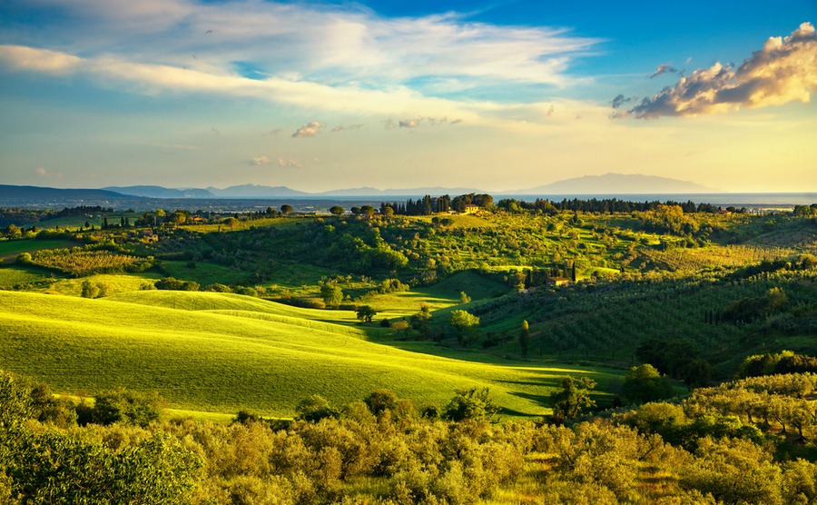 Make sure that any potential land to build on in Italy is certified as such.