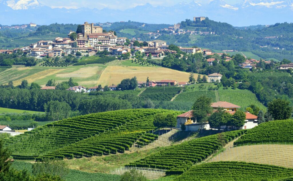 Italy-where-to-buy-PiedmontandValdAosta-Vineyard