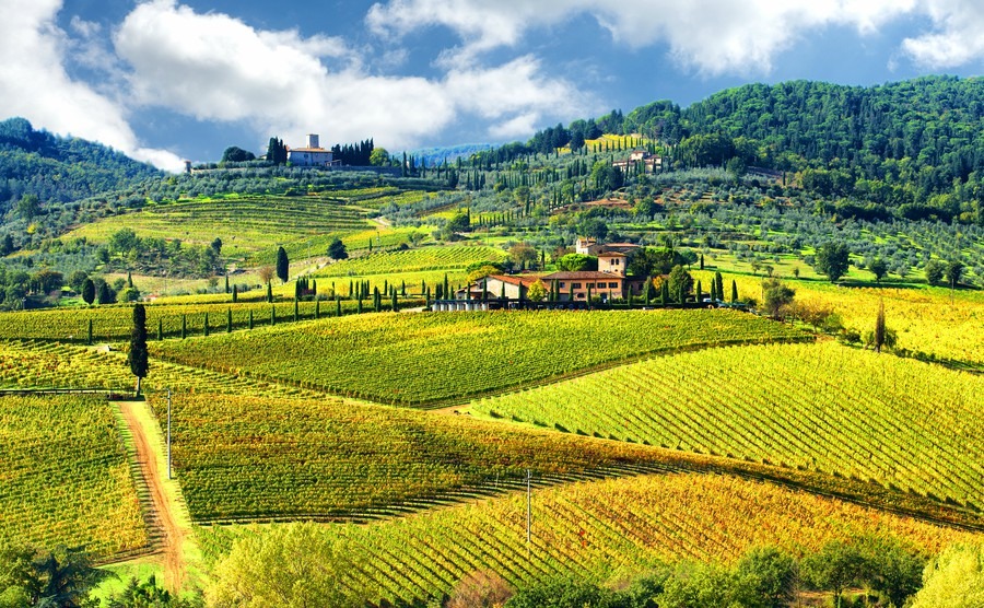Italian farms offering agritourism