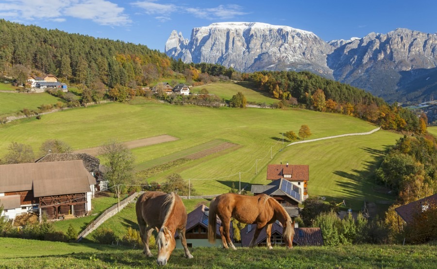 Your guide to Trentino-Alto Adige