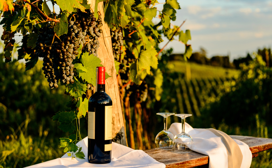 Tuscany for lovers: Where to buy for nature lovers, art lovers and coastal lovers
