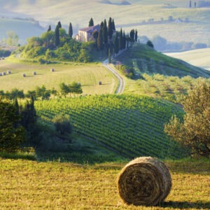 The Italian countryside is perfect for walking or cycling in.