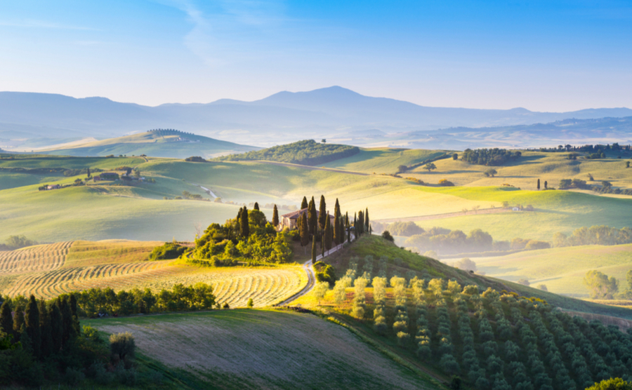 Properties by vineyards in Italy