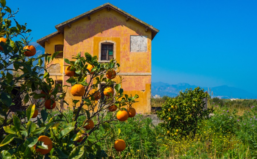 A house to move to taly before the Brexit transition period ends