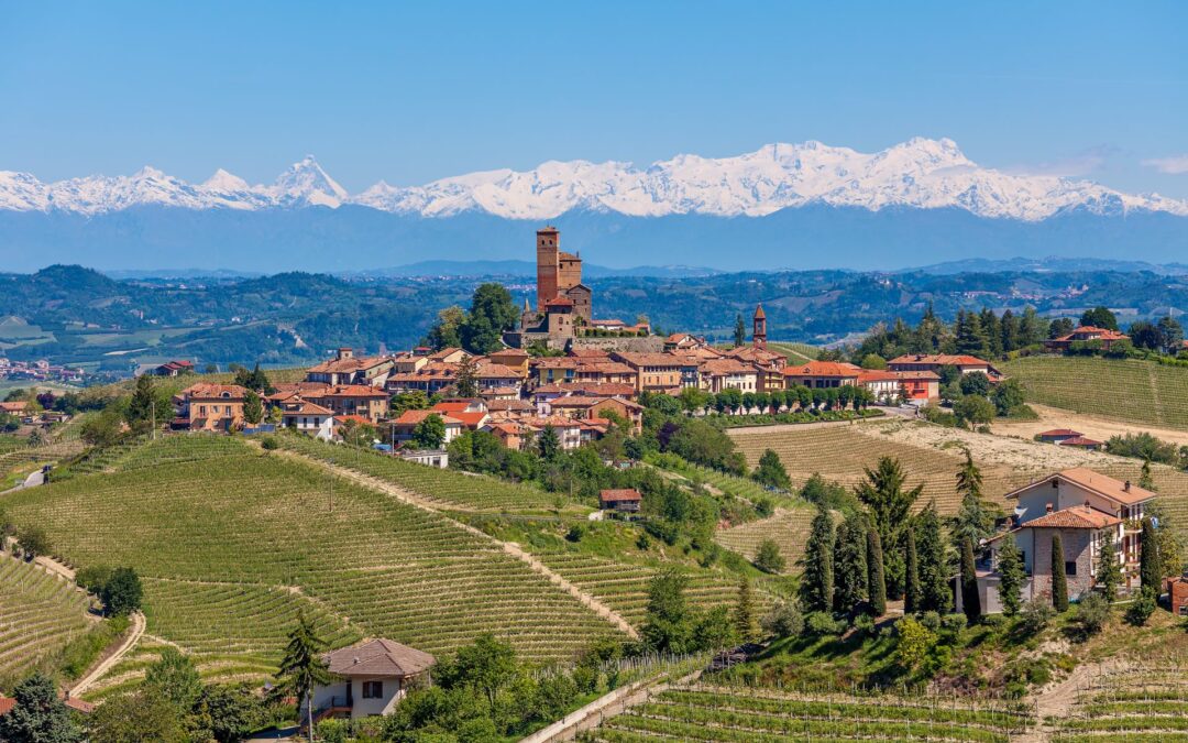 Your guide to living in Piedmont