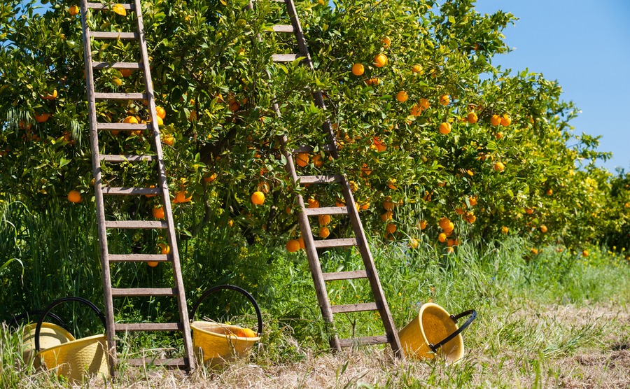 eco-friendly house italy