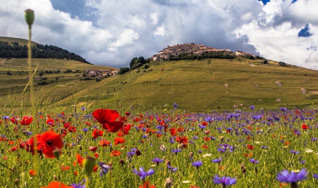 Holiday homes in Italy’s most beautiful countryside