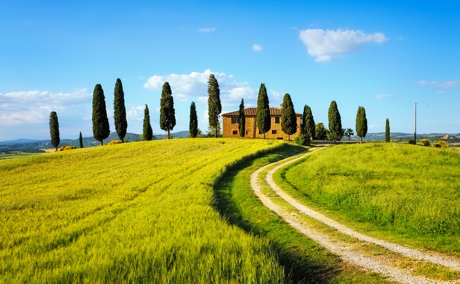 A typical Italian countryside scene: cypress trees and an old farmhouse. StevanZZ / Shutterstock.com