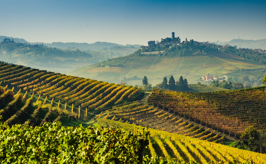 A property in Italy's wine regions