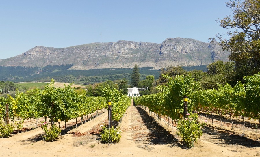 Constantia's a favourite spot for expats looking to move to South Africa | Best places to move abroad
