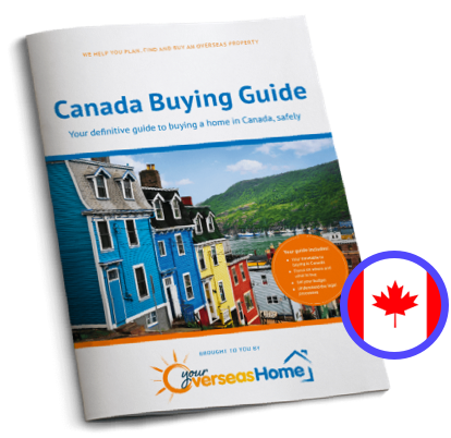 Buying Guide