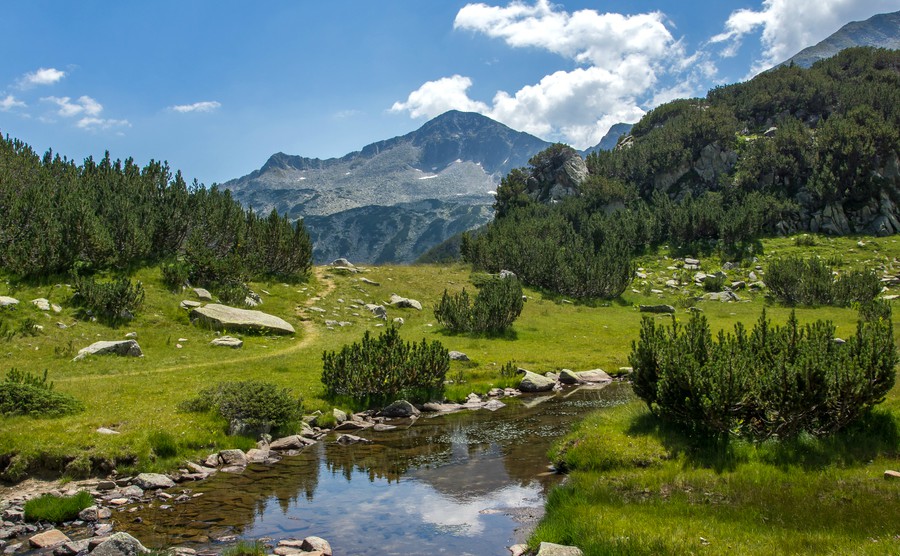 clean-mountain-river-pirin-mountain-bulgaria