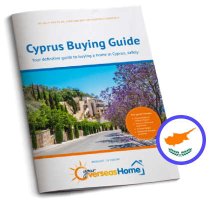 Buying Guide