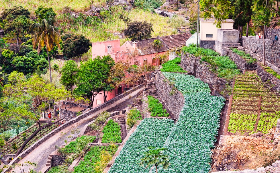 Farm in Cape verde island of Sao Antao