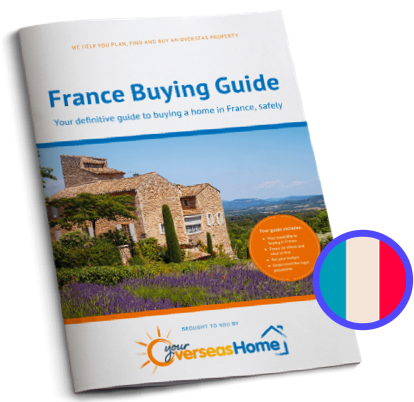 Buying Guide