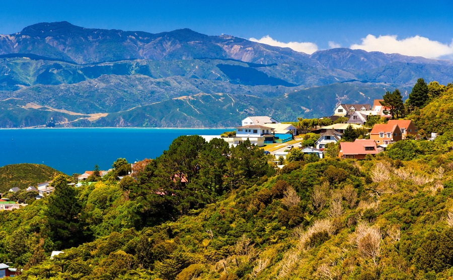 Can you still buy a property in New Zealand?