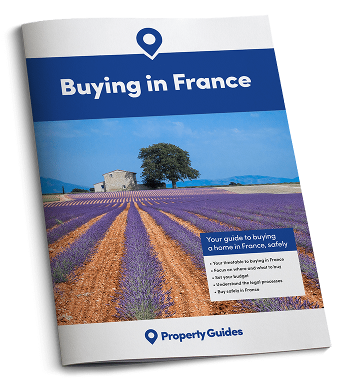 France Buying Guide
