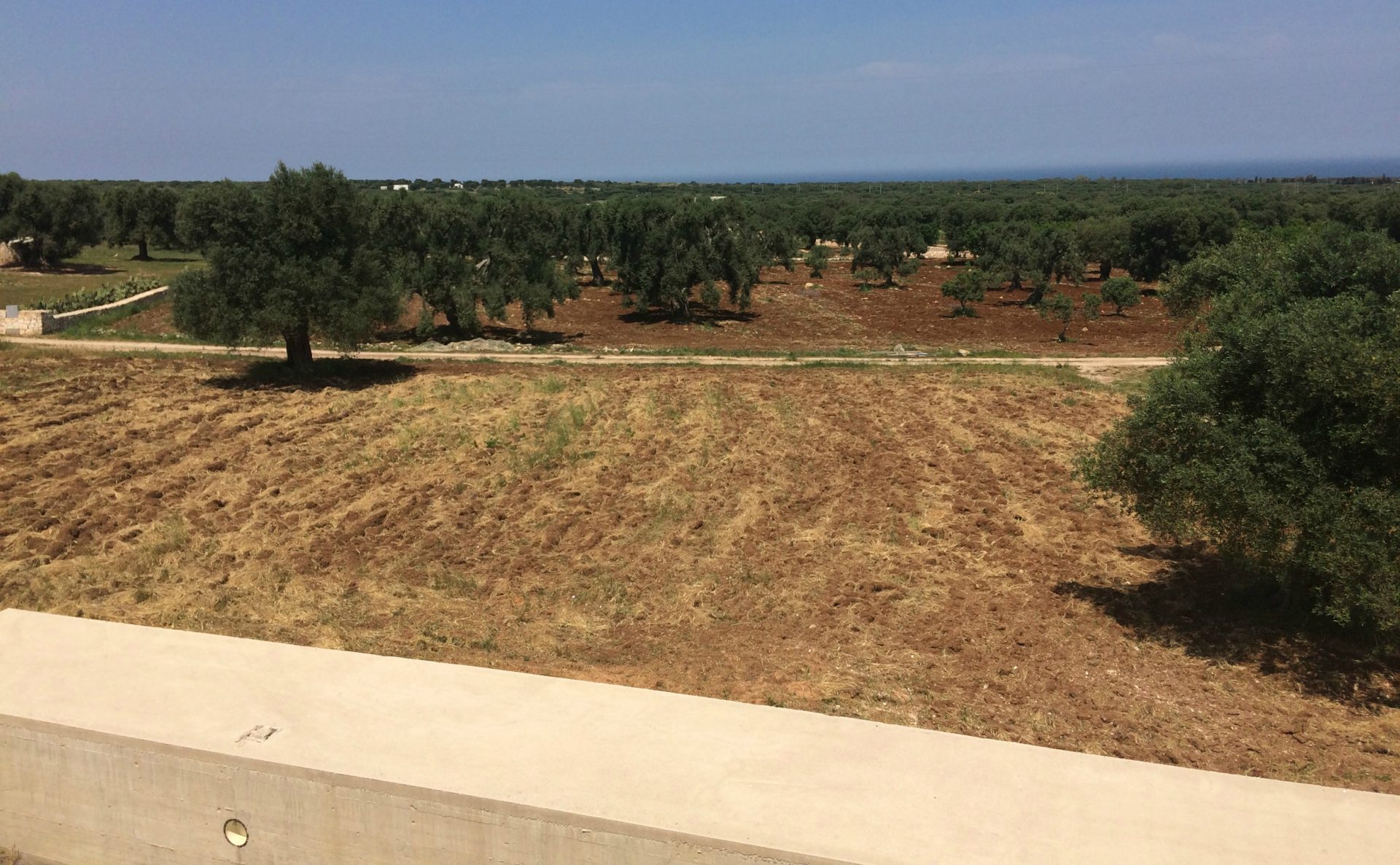 Not a bad view! The roof terrace on the Tiplers' renovation property.