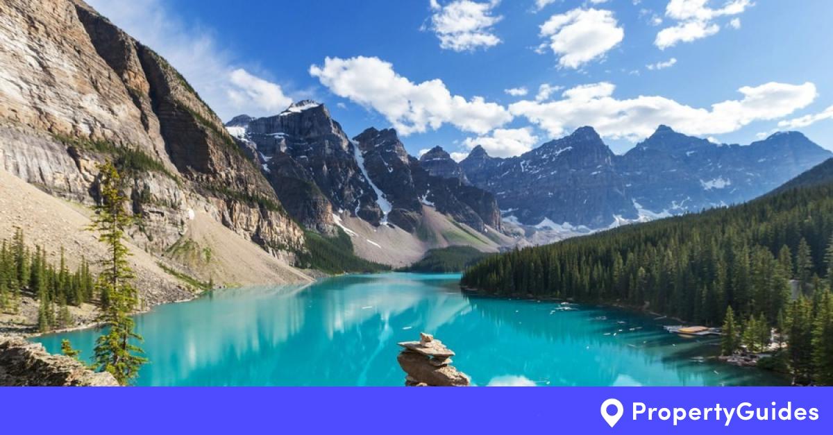 Tree hugger s delight: Canada s forests Canada Property Guide