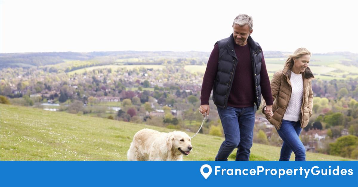 Things to know about pets in France France Property Guides