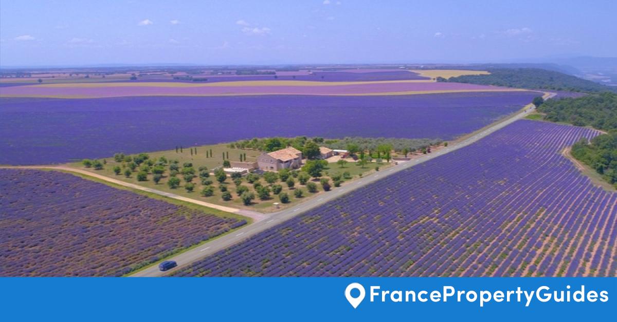 Your Property Viewing Trip to France France Property Guides