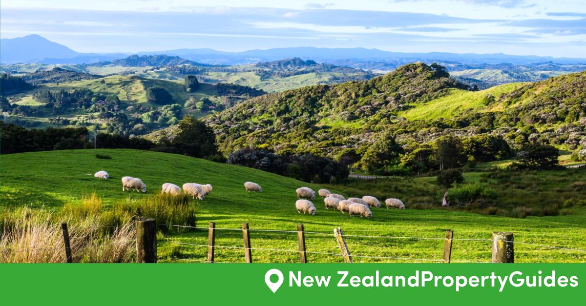 Buying Property in New Zealand The Complete Guide New Zealand