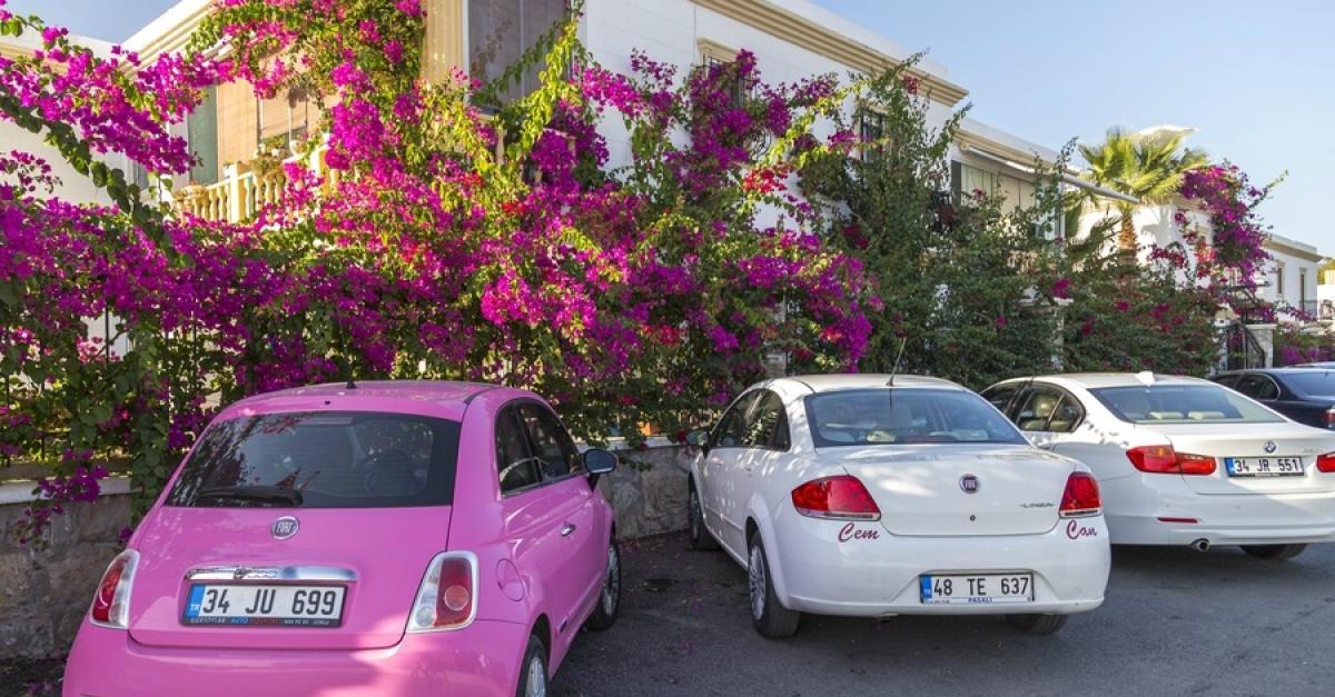 Сколько машин в турции. Машины в Турции. Машины в Бодруме Турции. Турция машина напрокат. Машинки в Турции.