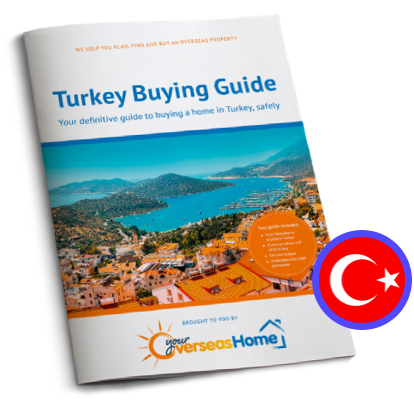 Buying Guide