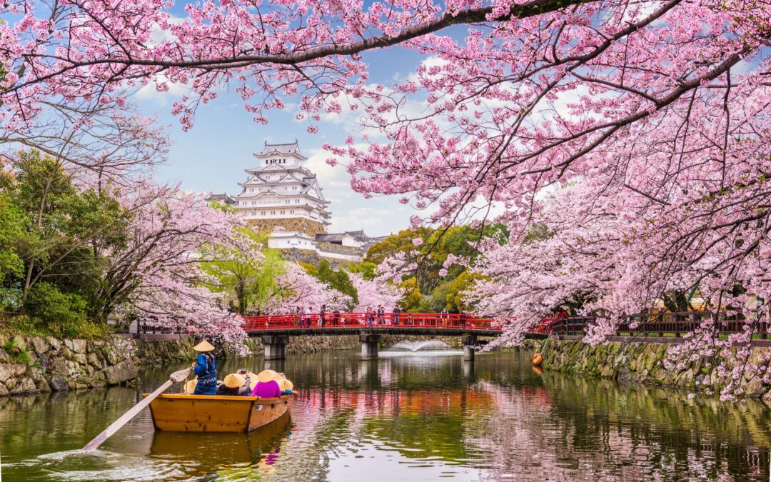 Springtime around the world