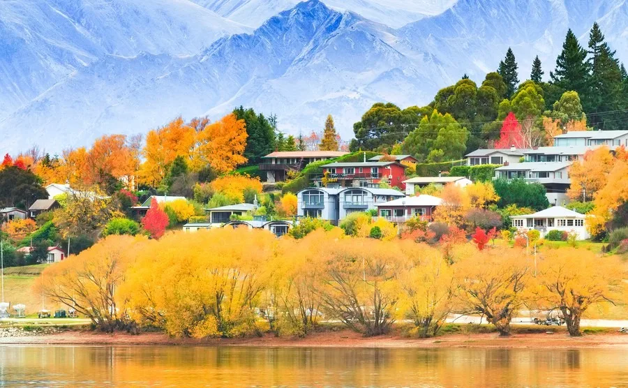 Why you should visit New Zealand during their autumn