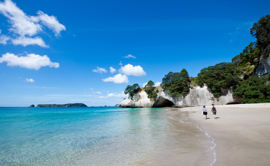 Swap the gloomy British winter for a glorious New Zealand summer!