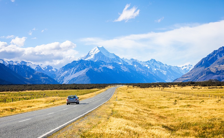 Getting a New Zealand driving licence is a quick process.