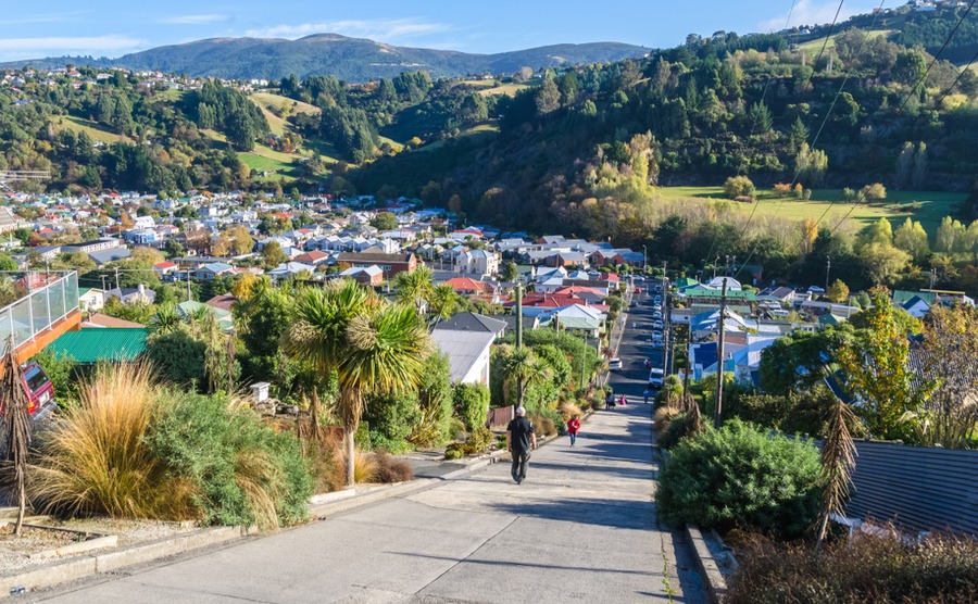 Dunedin is perfect for anyone looking to take up a new hobby when they move!