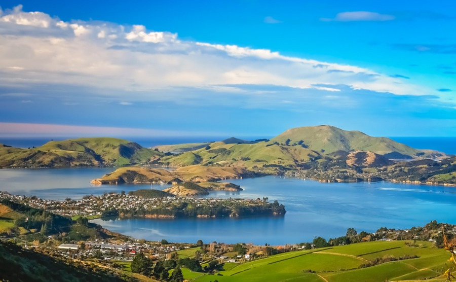 Dunedin is perfect for anyone looking for work when they move to New Zealand.