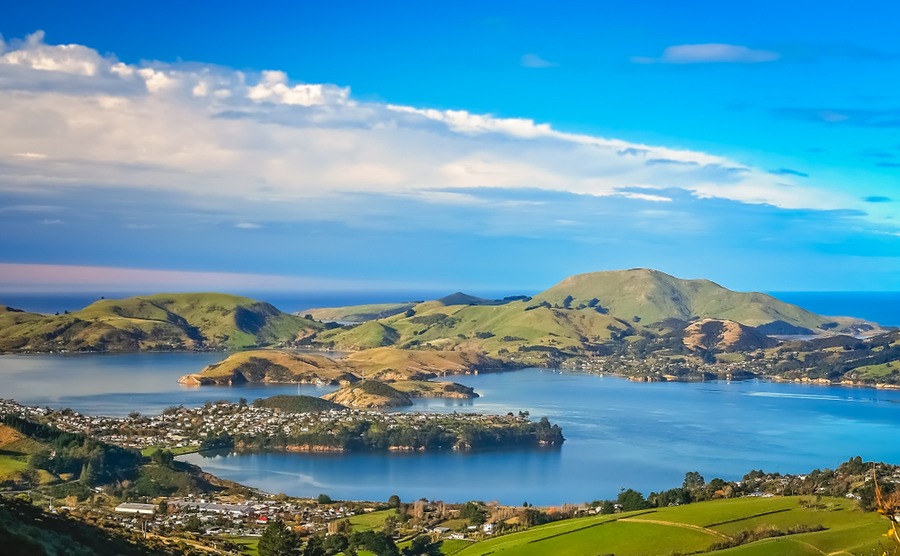 Thinking of where to buy a house in New Zealand? Dunedin is ideal for outdoor enthusiasts.