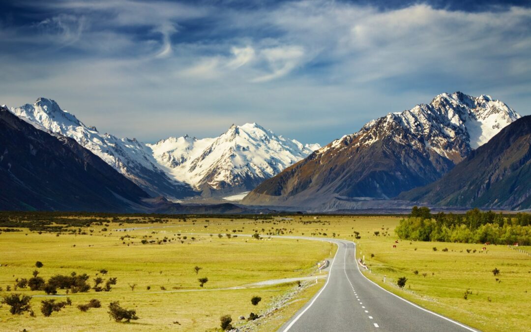 Enjoying New Zealand’s countryside