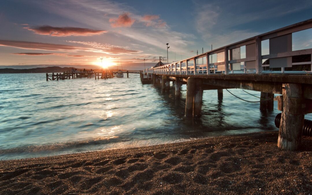 Books that capture the heart of New Zealand