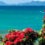 What is Christmas New Zealand like?